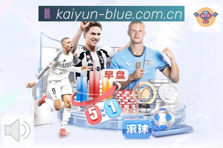 <strong>开云</strong>风险提示更友好